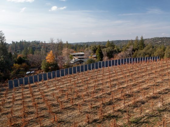 Sunzaun Vertical Solar Installation on a Winery
