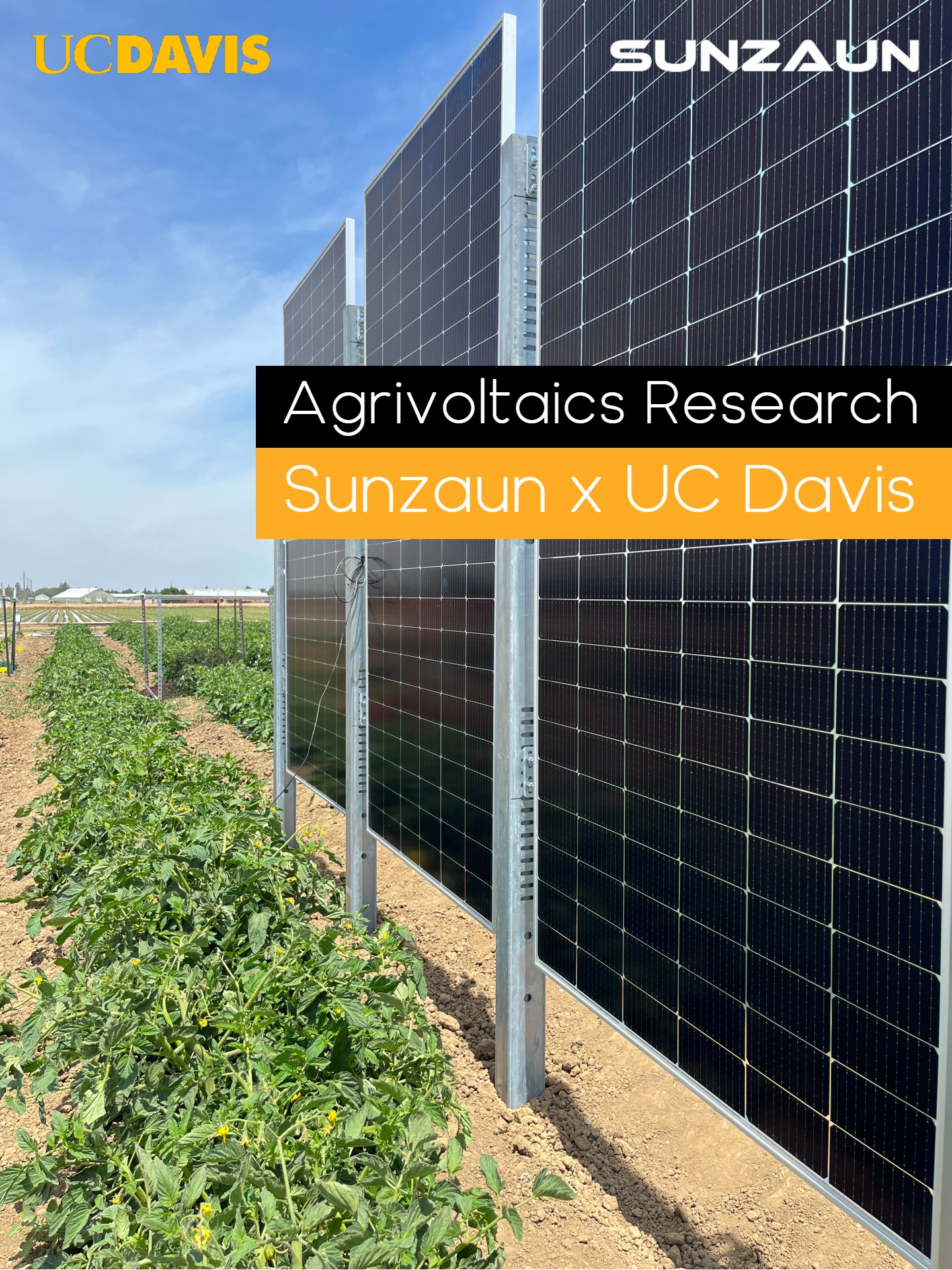 Vertical Agrivoltaics At Uc Davis Sunzaun