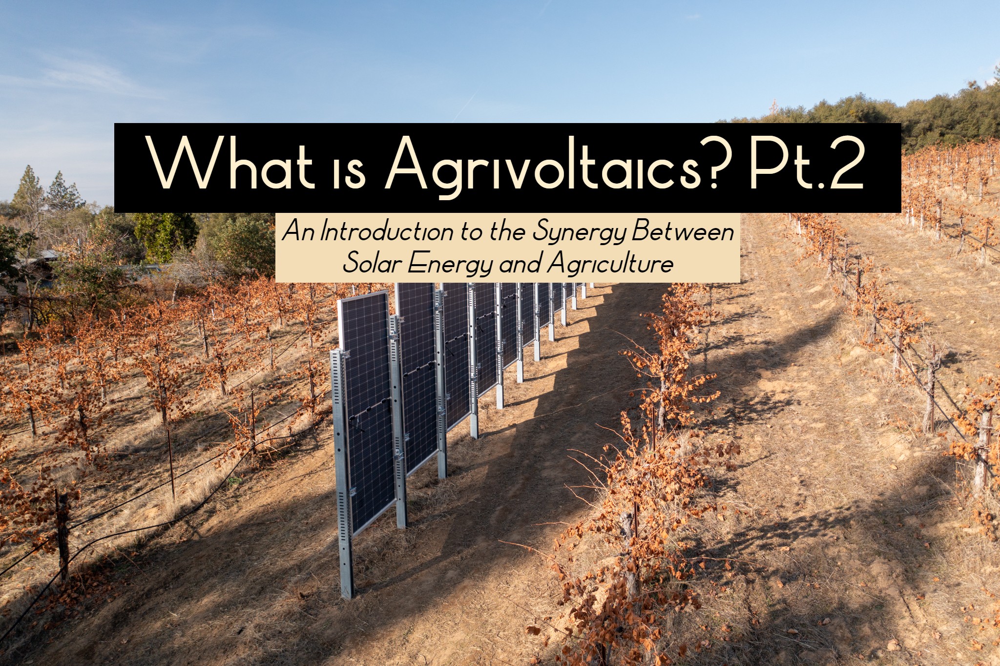 What is Agrivoltaics? Pt.2 - Sunzaun